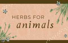 Herbs for Animals