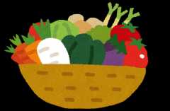 野菜や果物の画像