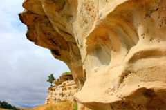Rosebud Battlefield/Where the Girl Saved Her Brother