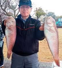 石原さんが釣りあげたシロアマダイ41・6と51センチ