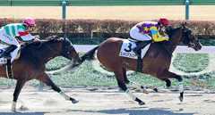 勝利したロンギングフォユー(右)(カメラ・荒牧 徹)