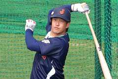 フリー打撃に励む小園。勝負強い打撃で侍ジャパンに貢献する