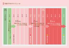 支給スケジュール