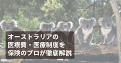 オーストラリア医療体制費用