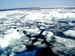 流氷って何？冬のオホーツク海を埋め尽くす氷原のメカニズム