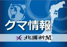 加賀・南郷小付近でクマ１頭目撃　グラウンド入る