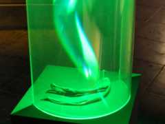 Ray Park hologram coexistence - banana, 2012