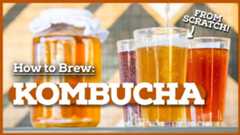 The Ultimate Guide to Homemade Kombucha: A Probiotic Powerhouse