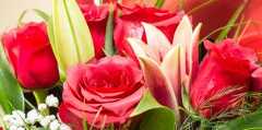 flowers 2048397 960 720 e1500327516227