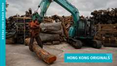 Hong Kong Originals: HK Timberbank gives typhoon-damaged trees second life as sustainable bespoke furniture
