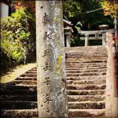 細々と、町内で大事に維持管理されてきた神社にこそ、すごいものが残っている、ということが分かった。