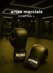 Artes Marciais