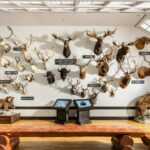 Hunting Grounds of Scandinavia: Wild Nature and Northern Trophies