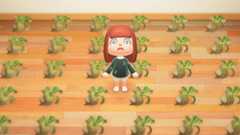 あつまれどうぶつの森 カブ価変動のアルゴリズムが解明される