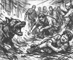 Rabies spread can be controlled only through practical steps