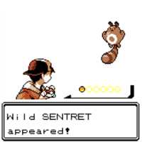 A Wild X Appears! / Wild X Appeared!