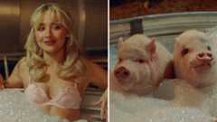 Hey Men and They Are Pigs meme and image examples depicting Sabrina Carpenter.