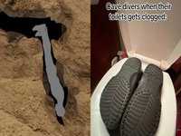 Cave Diver Meme examples.