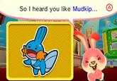 So I heard you like Mudkip…