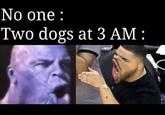 No one : Two dogs at 3 AM :