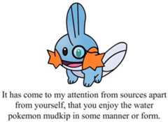 It has come to my attention from sources apart from yourself, that you enjoy the water pokemon mudkip in some manner or form.