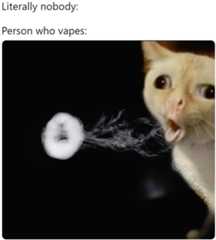 Literally nobody: Person who vapes: