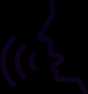 voice