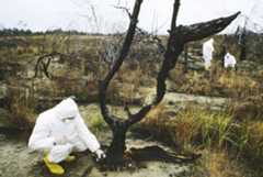 people in protective clothing using devices to measure for radiation
