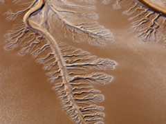 the dry riverbed of the Colorado River