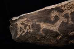 an ancient rock engraving indicating use of skis