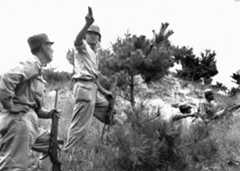 soldiers on a hillside