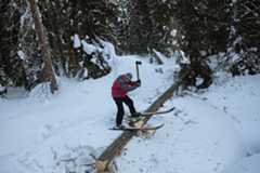 an Altay man chopping a tree while on skis