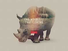 an image of a rhinoceros with the words end wildlife trafficking on it