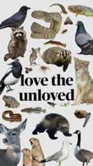 Some species in my area that are either commonly persecuted, underappreciated, or underprotected. Most are native to my home (Alberta) with the exception of the pigeon. #wildlife  #wildlifebiology #conservation #nature #protectnature #animals #animallover #insects #snail #entomology #herpetology #frog #spider #bugs #snake #rattlesnake #birds #birdwatching #outdoors #outdoorsy #fish #fishing #endangeredanimals Herpetology Aesthetic, Wildlife Biology, Wildlife Rehabilitation Aesthetic, Wildlife Conservation Aesthetic, Zoology Career, Environmental Science Major, Vet Medicine, Wildlife Biologist, Wildlife Rehabilitation