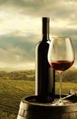 a bottle of wine and a glass sitting on a table with a landscape in the background