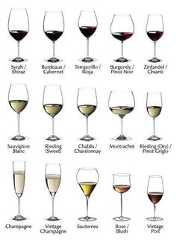 different types of wine glasses with names in each one, including red and white wines