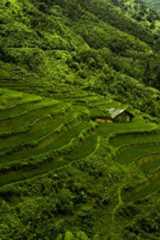 When it comes to Travel in Southeast Asia, Vietnam is a solid choice, especially in December! Discover 10 of the most beautiful places in Vietnam that you absolutely must visit on your next trip. From the captivating streets of Hanoi, perfect for a Vietnam itinerary, to breathtaking landscapes in both South and North Vietnam, let us be your Vietnam travel guide. Explore vibrant cultures, mouth-watering cuisine, and the welcoming smiles in Vietnam. Learn how to create your perfect Vietnam trip with our handy suggestions for impactful itineraries ranging from 1 week to 3 weeks. Your journey through Vietnam starts here! Traveling Asia, Vietnam Beautiful Places, Places To Travel In Asia, Vietnam Landscape, Most Beautiful Places On Earth, Travel Vietnam, Beautiful Places In Vietnam, Southern Vietnam, Vietnam Natural Wonders