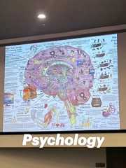 a large projection screen with a diagram of the human brain on it's wall