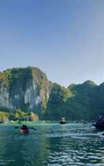 several small boats floating on the water near some mountains and trees in the distance, with people paddling their canoes
