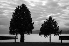 Together Till the End