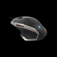 WHITE SHARK MIYAMOTO