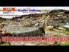 MENYELAMATKAN NYAWA MANUSIA ATAU MELINDUNGI BUAYA ? (BABE-Bahas Berita)