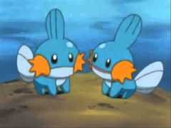 Mudkip 10 hours