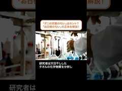 ダニの死骸の匂い!?天日干しした洗濯物の「お日様の匂い」の正体を解説 #shorts