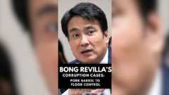 Bong Revilla and his corruption cases: From PDAF to flood control