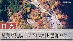 奥日光で紅葉見頃 寒さで一気に色づいた「いろは坂」や中禅寺湖周辺