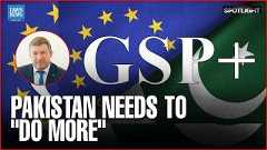 Pakistan Needs To “Do More”: EU Envoy on GSP+ Future
