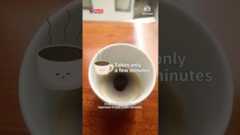 This espresso maker can fit in your bag