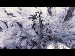 The Crop That Grows From the Top