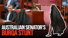 Outrage Over Senator Pauline Hanson’s Burqa Stunt